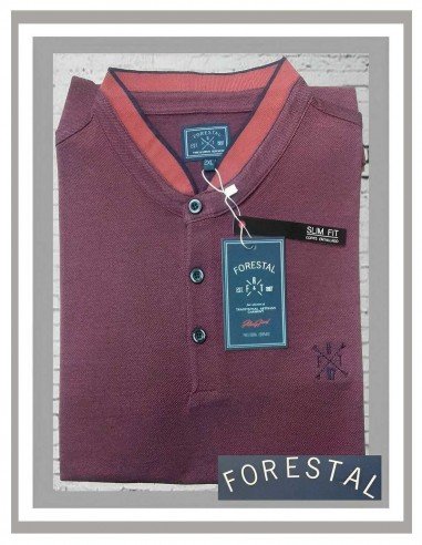 Camiseta hombre tallas grandes en berenjena Forestal 741-626